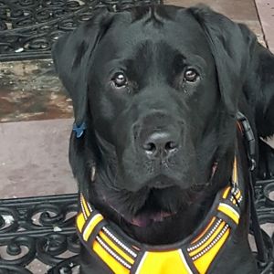 Meet your Posher, Lisa